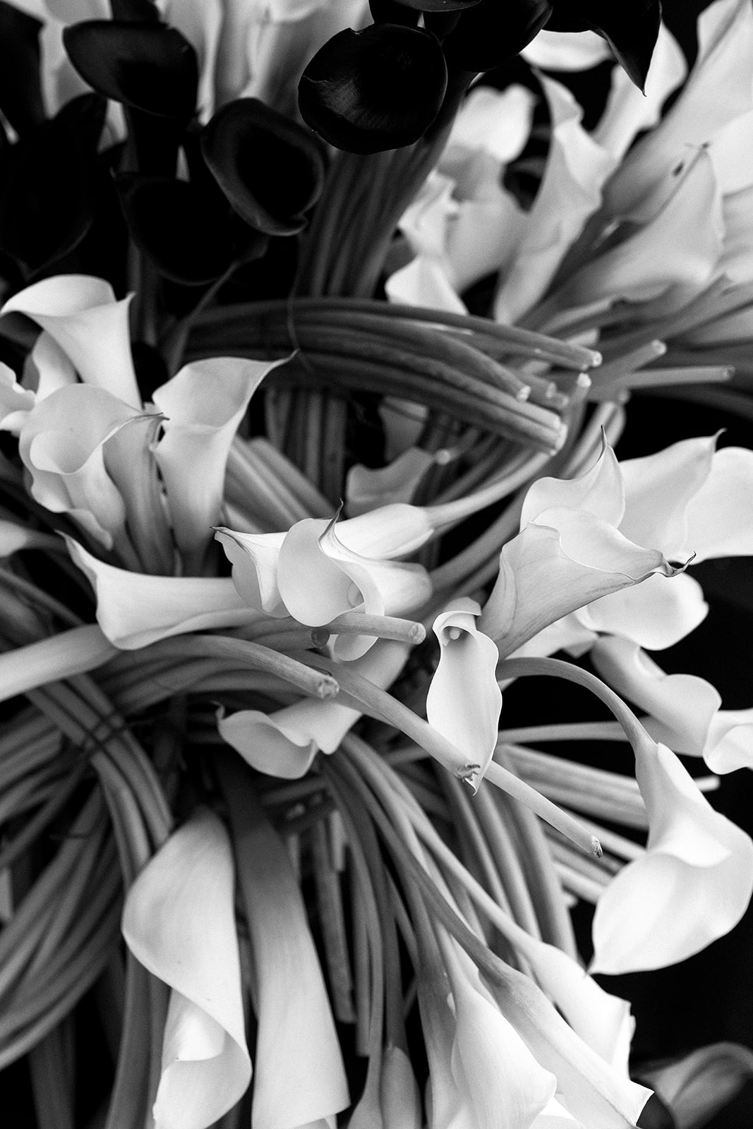 Photo by Brenna Bowen
