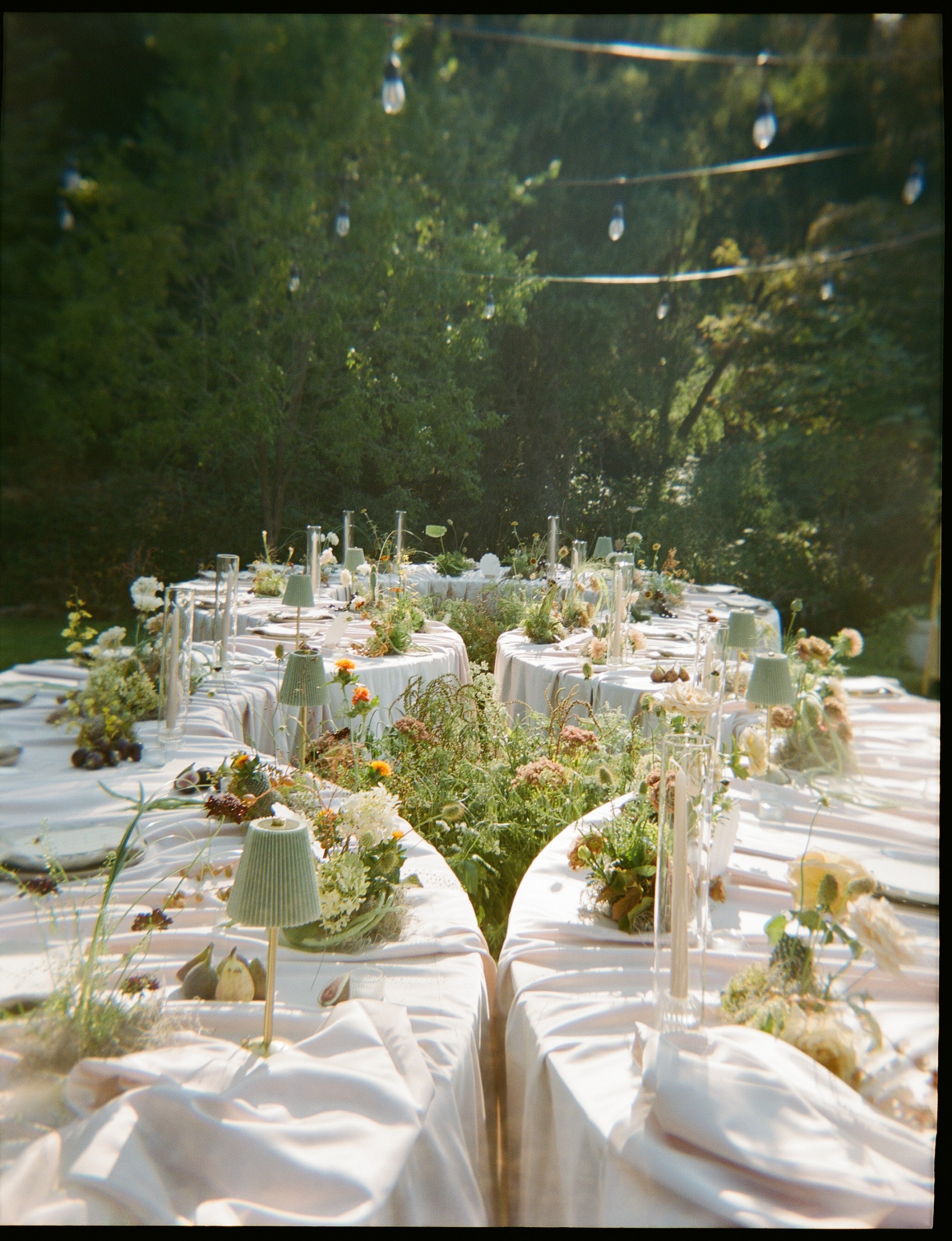 Photo by Brookklyn Photo