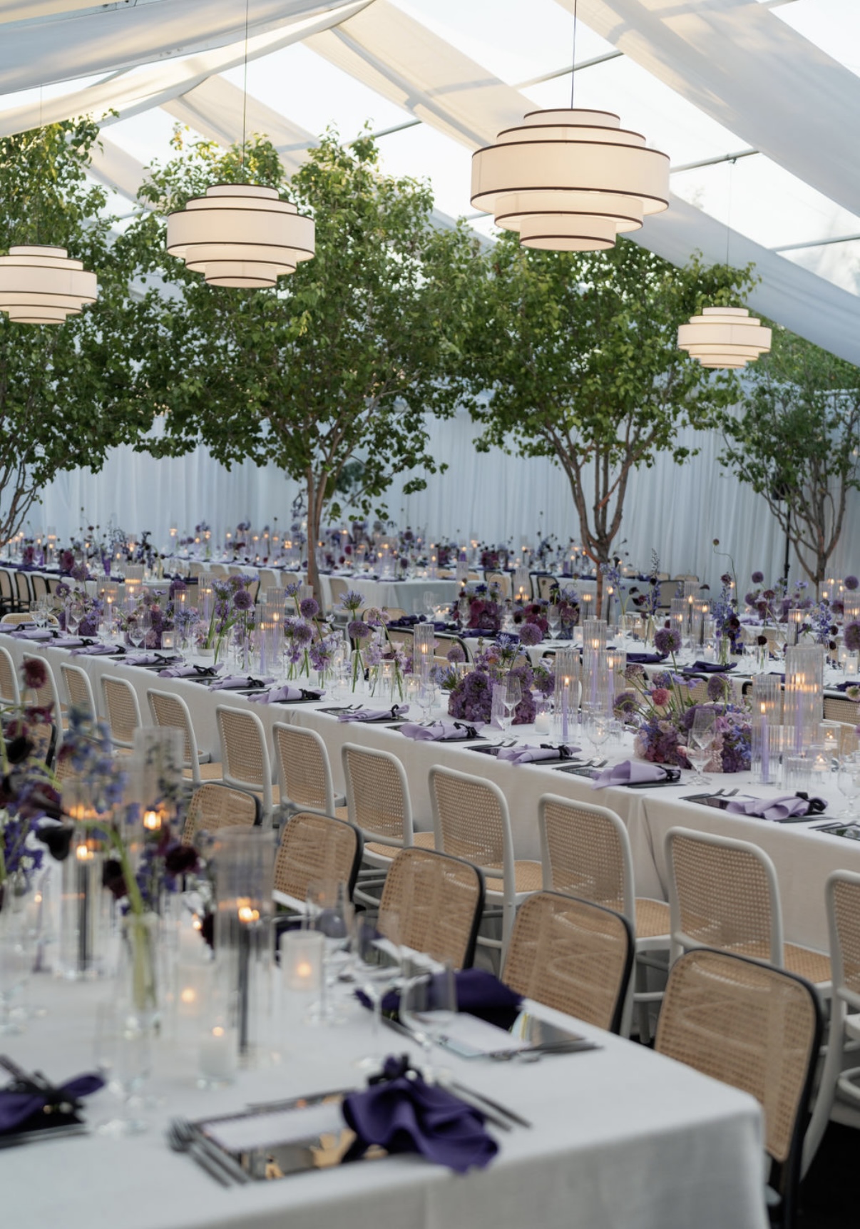 Audrey Wood Events